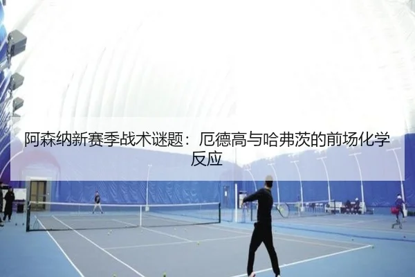 a-sen-na-xin-sai-ji-zhan-shu-mi-ti-e-de-gao-yu-ha-fu-ci-de-qian-chang-hua-xue-fan-ying-3-423.jpg