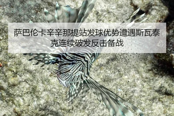 萨巴伦卡辛辛那提站发球优势遭遇斯瓦泰克连续破发反击备战
