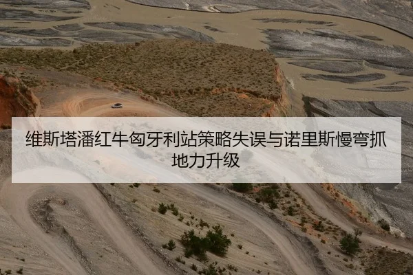 维斯塔潘红牛匈牙利站策略失误与诺里斯慢弯抓地力升级