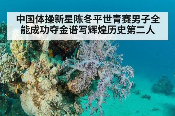 中国体操新星陈冬平世青赛男子全能成功夺金谱写辉煌历史第二人